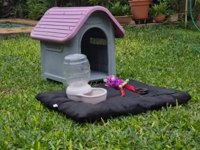 Casa + Accesorios Pets